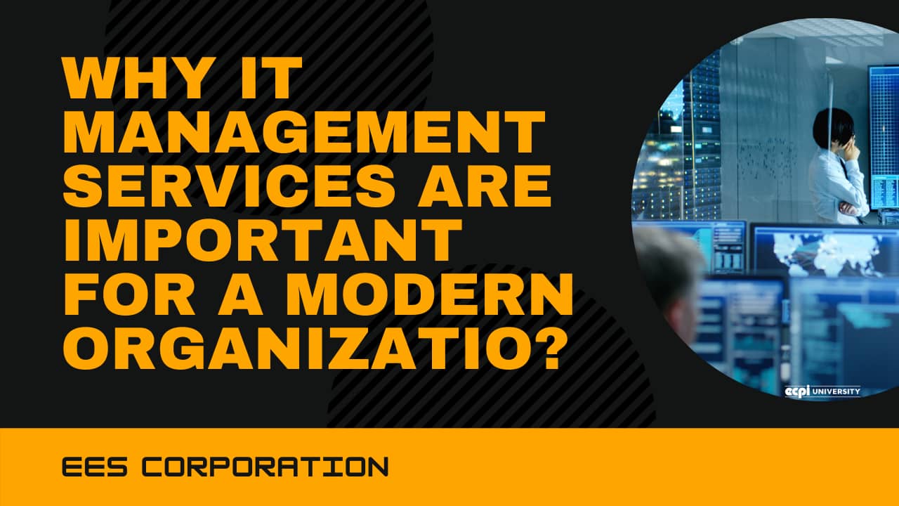 Why IT management services are important for a modern organization