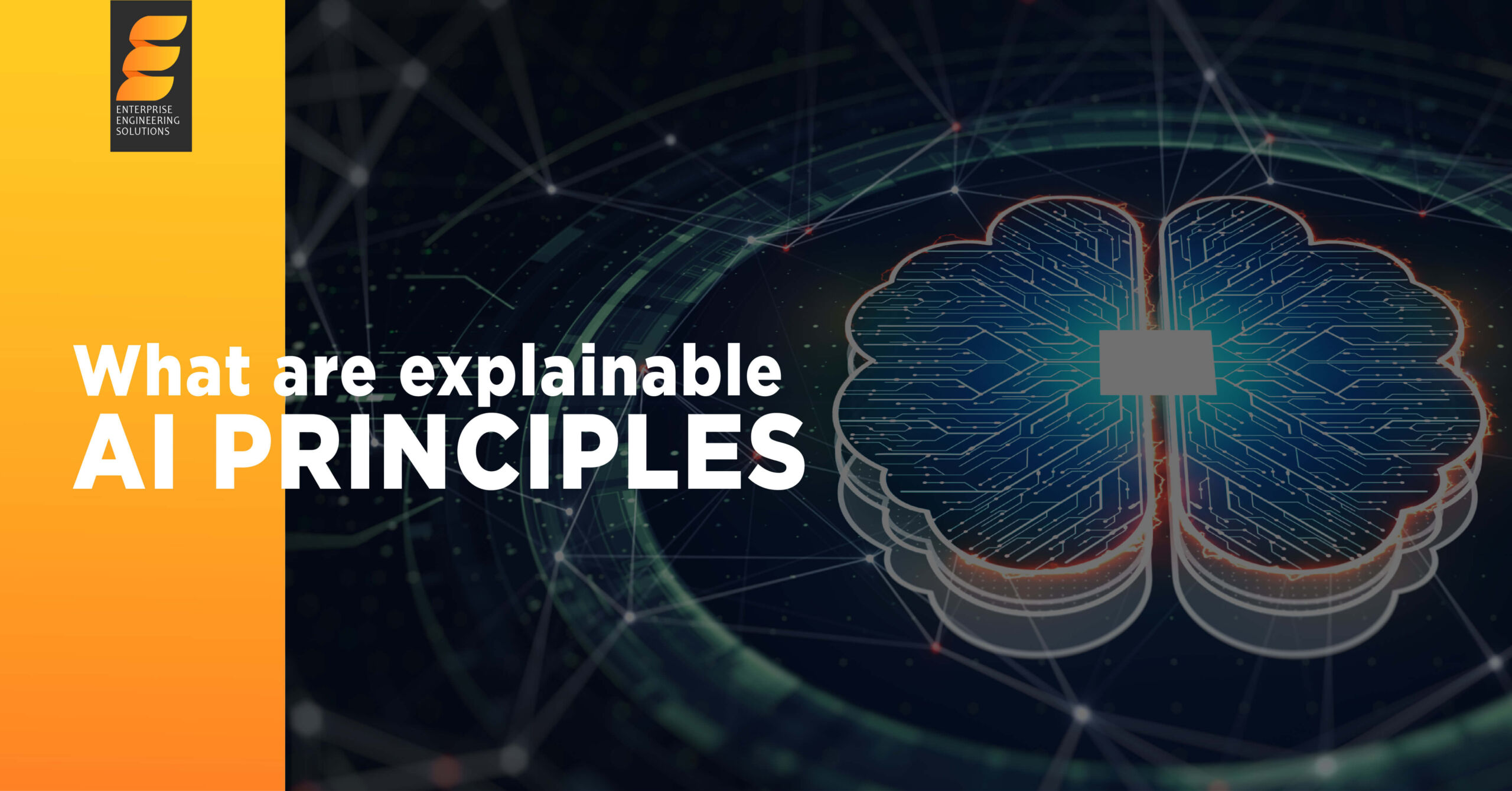 What Are Explainable AI Principles?